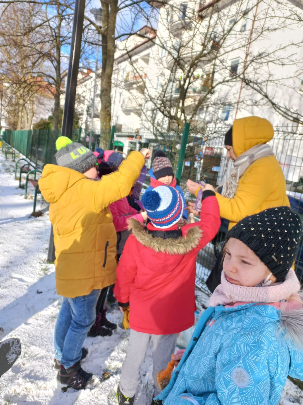 kółko przyrodnicze dokarmia ptaki