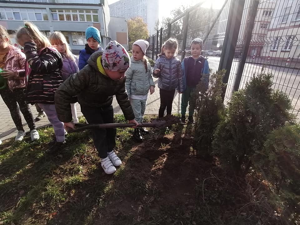 dzieci sadzą drzewka na szkolnym boisku