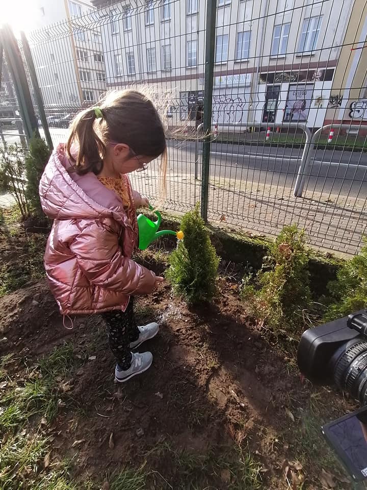 dzieci sadzą drzewka na szkolnym boisku