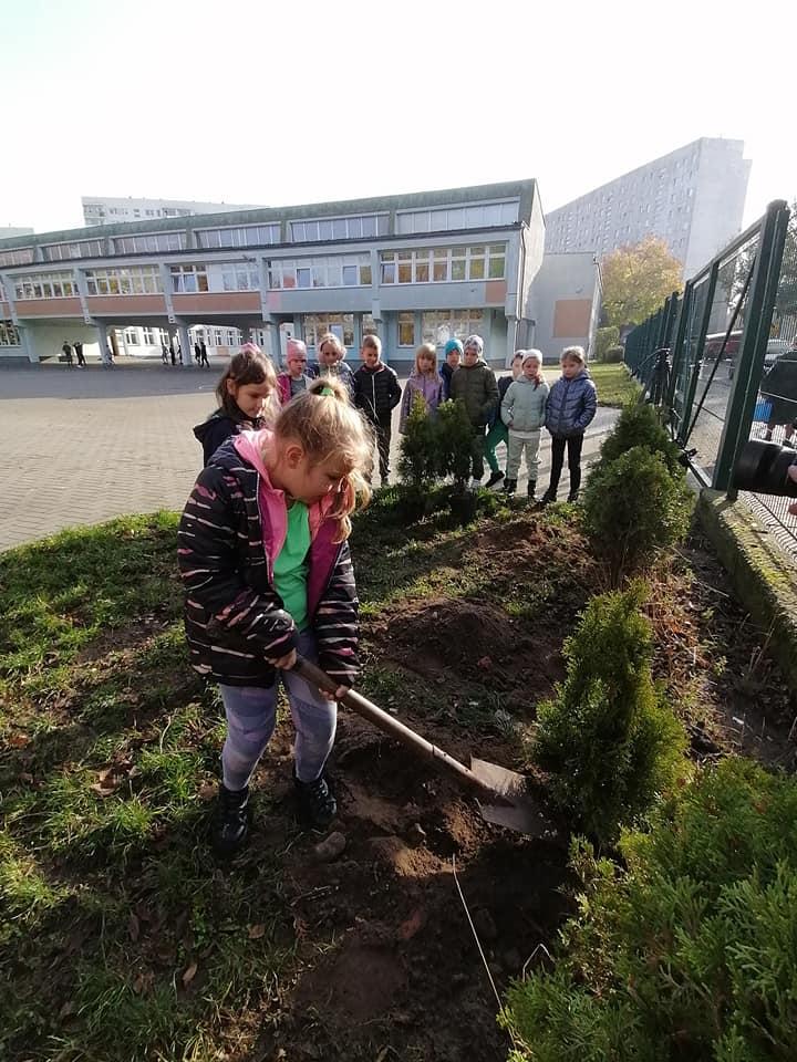 dzieci sadzą drzewka na szkolnym boisku