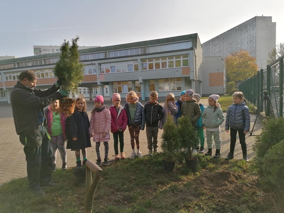 dzieci sadzą drzewka na szkolnym boisku