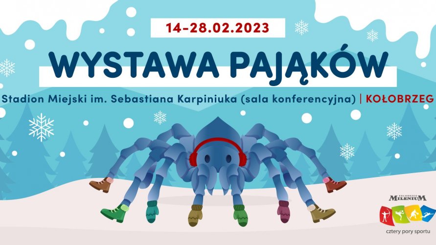 Wystawa pajakow